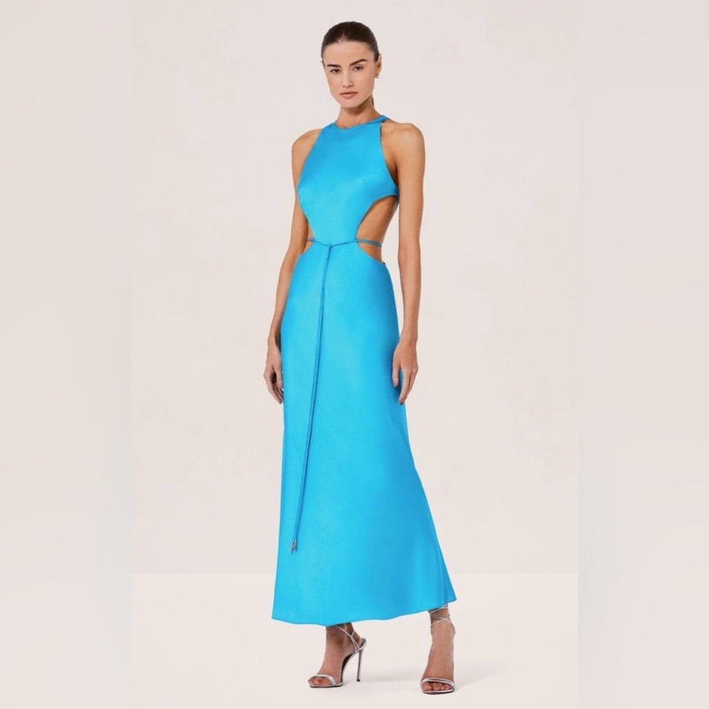 Alexis Lune Slip Cut Out Dress